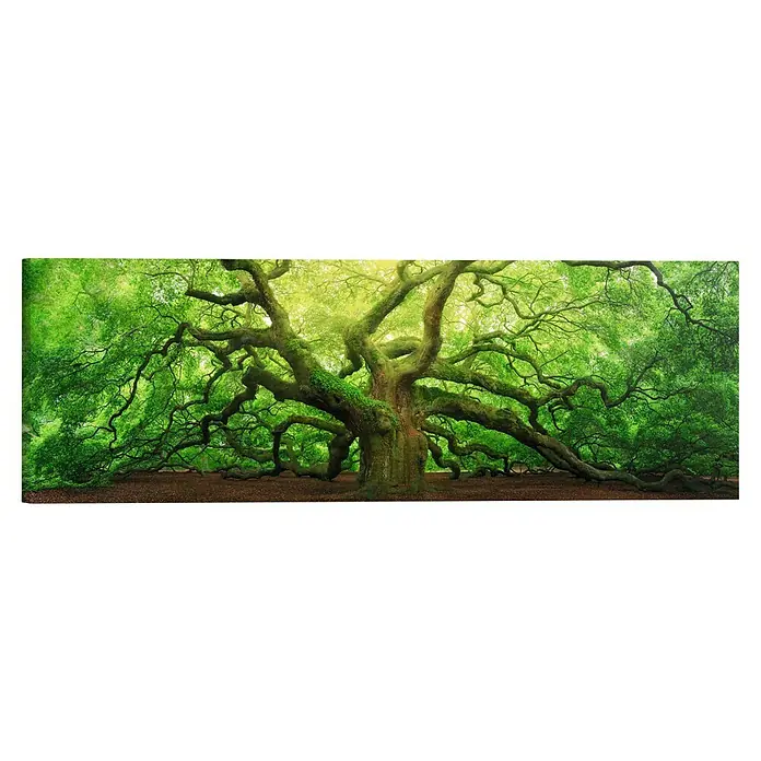 Reinders Holzbild Deco Block - Old Oak, B x H: 118 x 40 cm - Imposanter, alter Baum mit weitverzweigten Ästen, der eine mystische Atmosphäre schafft.