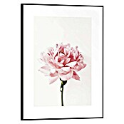 Reinders Bild Slim Frame Black (Pink Rose, B x H: 30 x 40 cm) | BAUHAUS