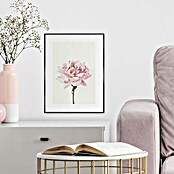 Reinders Bild Slim Frame Black (Pink Rose, B x H: 30 x 40 cm) | BAUHAUS