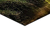 Decoratief paneel (Behind the Corner, b x h: 90 x 60 cm) | BAUHAUS