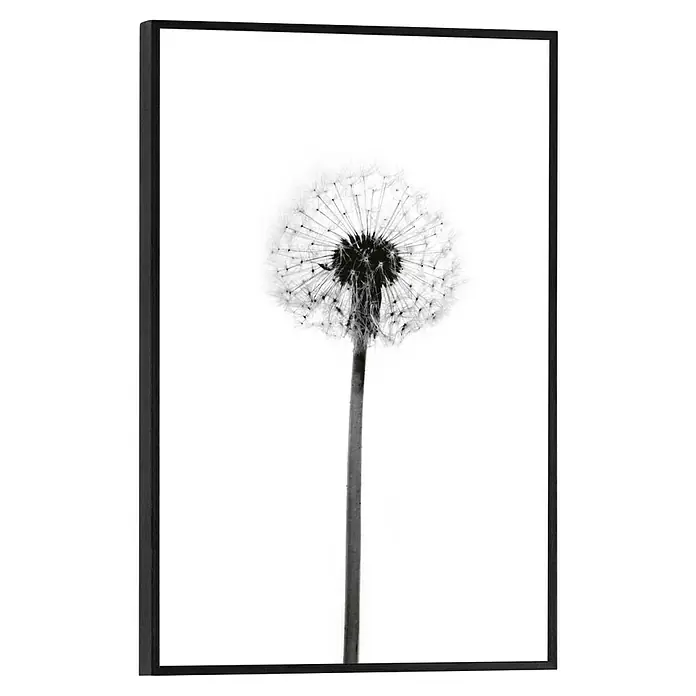 Reinders Bild Slim Frame BlackDandelion Grey, B x H: 20 x 30 cm - Gerahmtes Schwarz-Weiß-Foto einer Pusteblume. Die feinen Details der Blüte und des Stiels werden durch den hohen Kontrast betont.