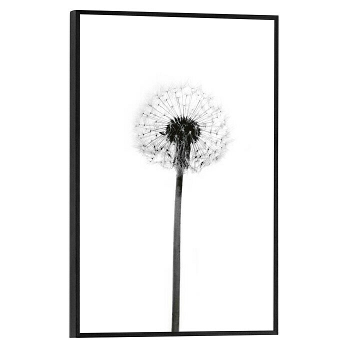 Bild Slim FrameDandelion Grey, B x H: 20 x 30 cm Front View