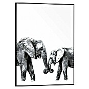 Reinders Bild Slim Frame Black (Elephant Love, B x H: 30 x 40 cm) | BAUHAUS