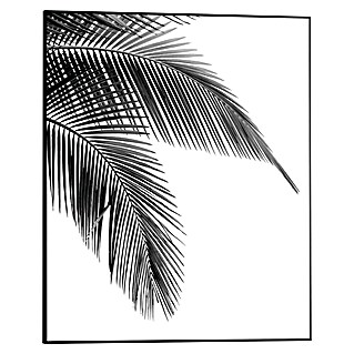 Reinders Bild Slim Frame Black (Palm Leaf, B x H: 40 x 50 cm)