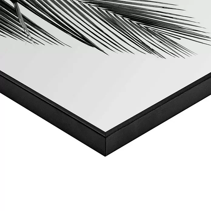 Reinders Bild Slim Frame Black - Palm Leaf, B x H: 40 x 50 cm - Detailaufnahme