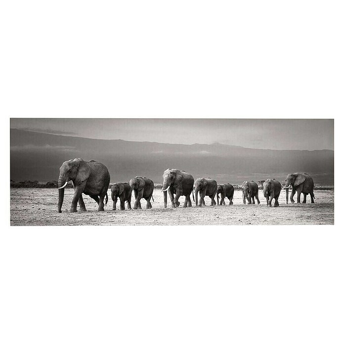 Reinders Decopanel (Line of Elephants, B x H: 156 x 52 cm) | BAUHAUS