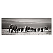 Reinders Decopanel (Line of Elephants, B x H: 156 x 52 cm) | BAUHAUS