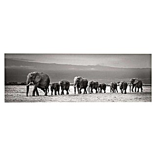 Reinders Decopanel (Line of Elephants, B x H: 156 x 52 cm)