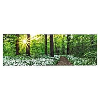 Decoratief paneel (Spring Forest, b x h: 156 x 52 cm)