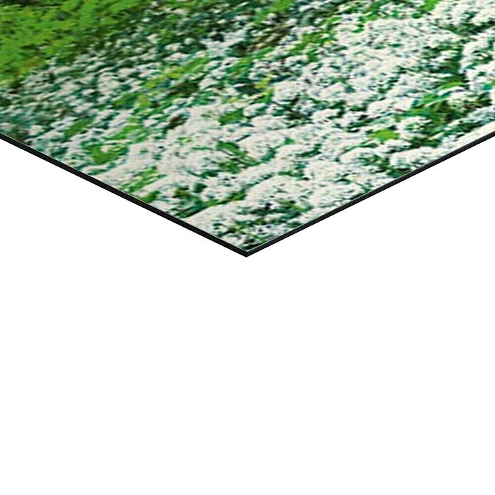 Decoratief paneel (Spring Forest, b x h: 156 x 52 cm) | BAUHAUS