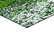 Decoratief paneel (Spring Forest, b x h: 156 x 52 cm) | BAUHAUS