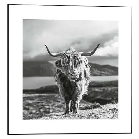 Reinders  Bild Slim Frame Black