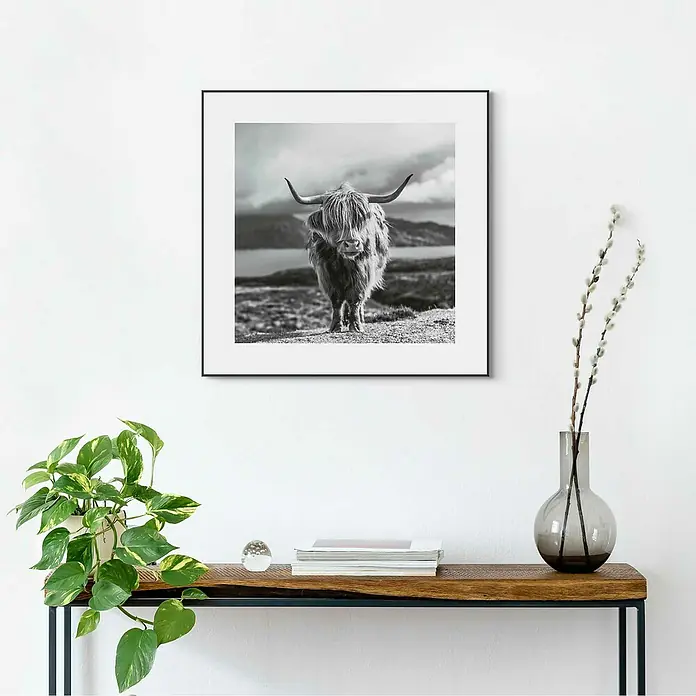 Reinders Bild Slim Frame Black - Highland Cow, B x H: 50 x 50 cm - Schwarzweiß-Foto eines schottischen Hochlandrindes in einem schwarzen Rahmen über einem Holztisch mit Deko.
