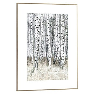 Bild Slim Frame (Birch Trees, B x H: 50 x 70 cm)