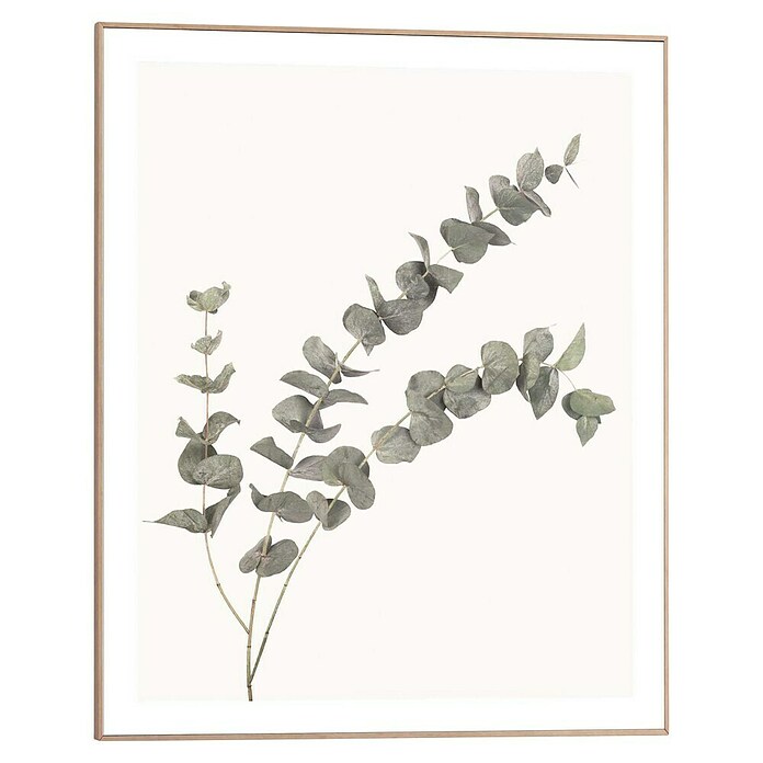 Reinders Bild Slim Frame Wood (Eucalyptus, B x H: 40 x 50 cm) | BAUHAUS