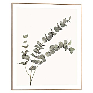 Reinders Bild Slim Frame Wood (Eucalyptus, B x H: 40 x 50 cm)