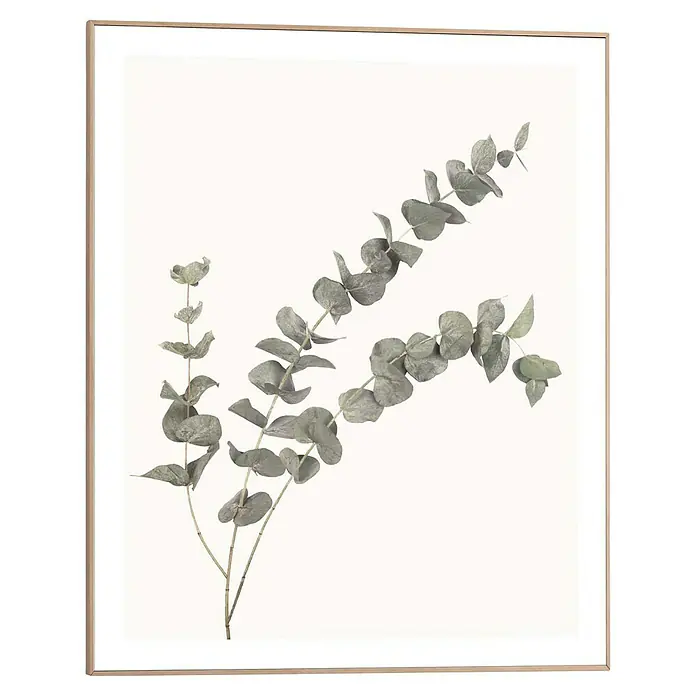 Reinders Bild Slim Frame Wood - Eucalyptus, B x H: 40 x 50 cm - Ein stilvolles Wandbild mit Eukalyptus-Zweigen in einem schlichten Rahmen, das eine natürliche und ruhige Atmosphäre in jeden Raum bringt.