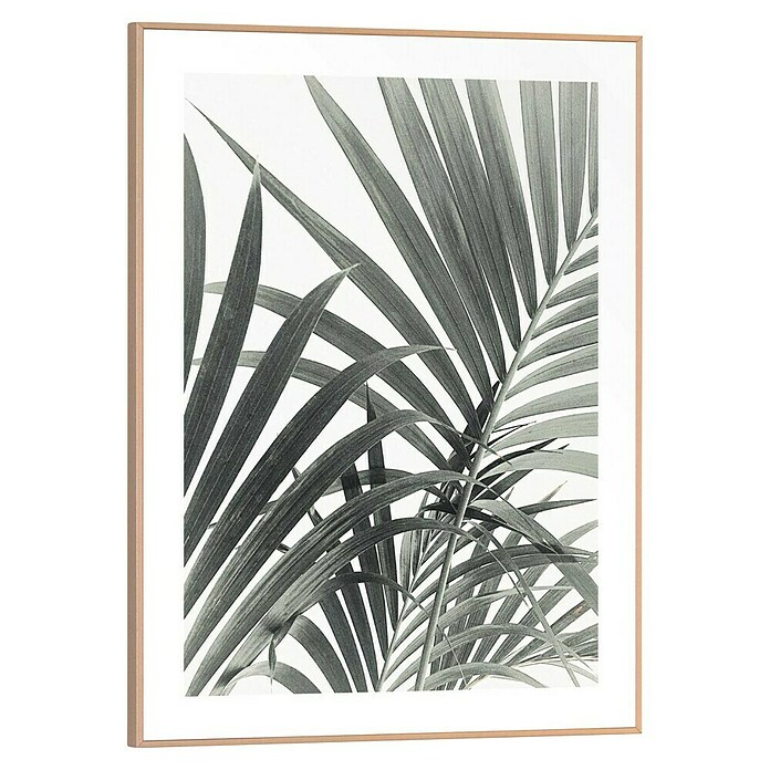 Reinders Bild Slim Frame Wood (Palm Leafs, B x H: 30 x 40 cm) | BAUHAUS