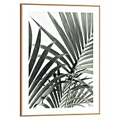 Reinders Bild Slim Frame Wood (Palm Leafs, B x H: 30 x 40 cm) | BAUHAUS