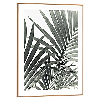 Reinders Bild Slim Frame Wood (Palm Leafs, B x H: 30 x 40 cm)