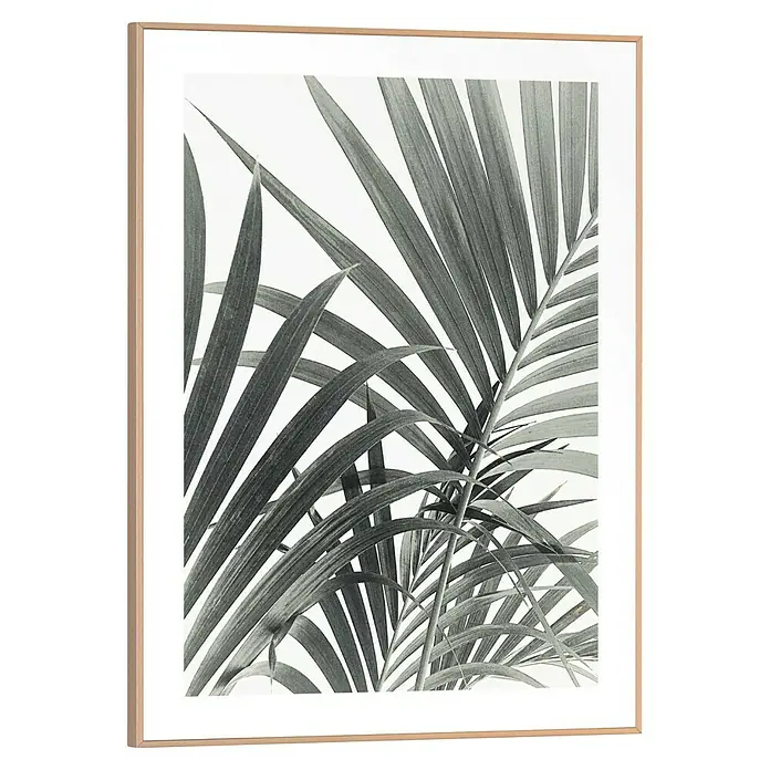 Reinders Bild Slim Frame WoodPalm Leafs, B x H: 30 x 40 cm - Ein gerahmtes Kunstwerk mit einem Schwarz-Weiß-Foto von üppigen Palmenblättern, das jedem Raum einen Hauch von tropischer Eleganz verleiht.