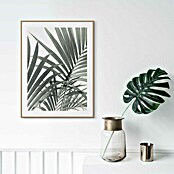 Reinders Bild Slim Frame Wood (Palm Leafs, B x H: 30 x 40 cm) | BAUHAUS