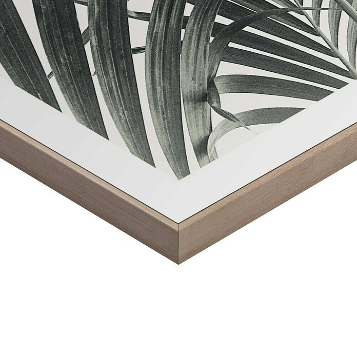 Reinders Bild Slim Frame Wood (Palm Leafs, B x H: 30 x 40 cm) | BAUHAUS