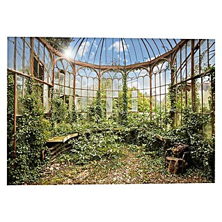 Decoratief paneel (Greenhouse, b x h: 140 x 100 cm)