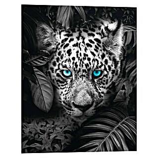 Reinders Decopanel (Blue Eyed Leopard, B x H: 40 x 50 cm)