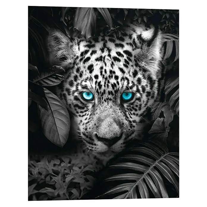 Reinders Decopanel - Blue Eyed Leopard, B x H: 40 x 50 cm - Detailaufnahme eines Leopardenkopfes in Schwarzweiß mit leuchtend blauen Augen, umgeben von tropischen Blättern.