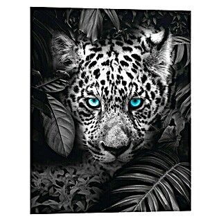 Decopanel (Blue Eyed Leopard, B x H: 40 x 50 cm)
