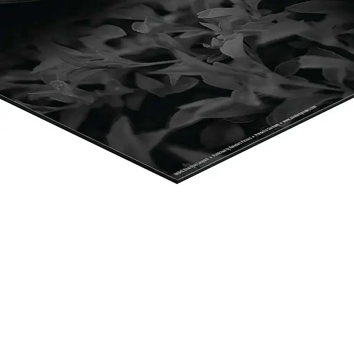 Reinders Decopanel - Blue Eyed Leopard, B x H: 40 x 50 cm - Ein düsteres Foto mit einem Kunstwerk, das Blätter in dunklen Grautönen zeigt, das dem Raum eine elegante Note verleiht.