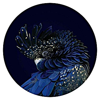 Houten tekstbord Round Art (Blue Parrot, Diameter: 50 cm)