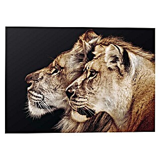 Decoratief paneel (Lion and Lioness, b x h: 140 x 100 cm)