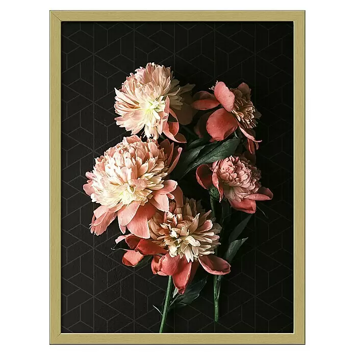 ProArt Bild Slim Scandic - Beautiful Roses II, B x H: 33 x 43 cm - Vorderansicht