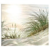 Reinders Decopanel (Sunset Seascape, B x H: 50 x 40 cm) | BAUHAUS