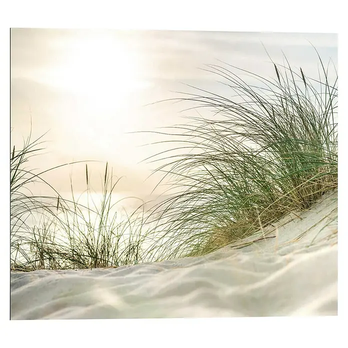 Reinders Decopanel - Sunset Seascape, B x H: 50 x 40 cm - Dünengras am Strand bei Sonnenaufgang. Das Gras wiegt sich sanft im Wind und schafft eine ruhige Atmosphäre.