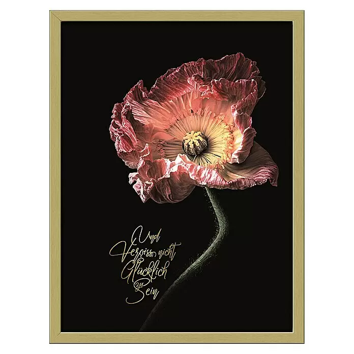 ProArt Bild Slim Scandic - Beautiful & Gold IV, B x H: 33 x 43 cm - Vorderansicht