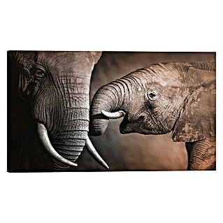 Houten tekstbord Deco Block (Elephant Family, b x h: 118 x 70 cm)