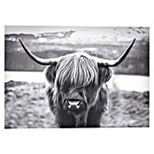 Reinders Decopanel (Highland Cow, B x H: 140 x 100 cm) | BAUHAUS