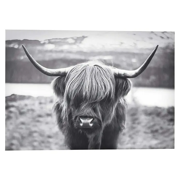 Reinders Decopanel - Highland Cow, B x H: 140 x 100 cm - Nahaufnahme eines schottischen Hochlandrindes mit beeindruckenden Hörnern und zotteligem Fell. Die Aufnahme ist in Schwarzweiß gehalten.