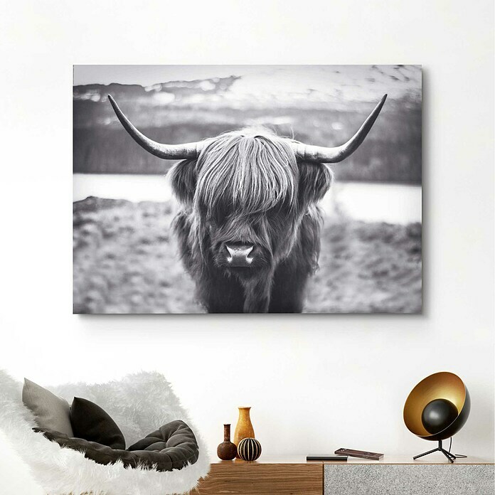 DecopanelHighland Cow, B x H: 140 x 100 cm Mood Shot