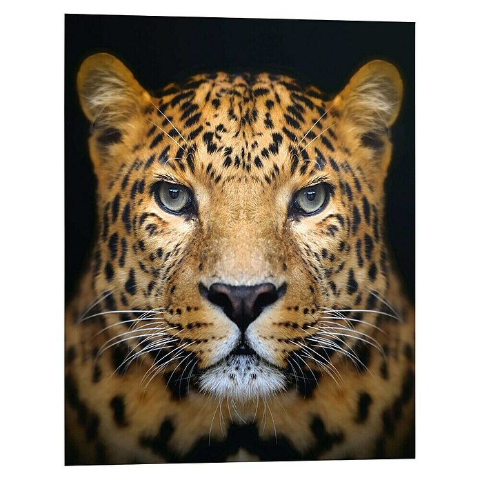 Reinders Decopanel (Leopard Face, B x H: 40 x 50 cm) | BAUHAUS