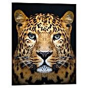 Reinders Decopanel (Leopard Face, B x H: 40 x 50 cm) | BAUHAUS