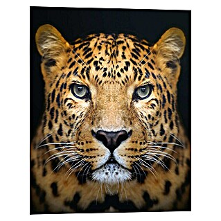 Reinders Decopanel (Leopard Face, B x H: 40 x 50 cm)