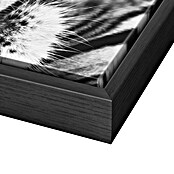 Canvasschilderij (White Tiger, b x h: 70 x 118 cm) | BAUHAUS
