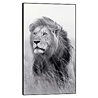 Canvasschilderij Framed Canvas Look (Field Lion, b x h: 70 x 118 cm)