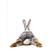 Reinders Decopanel (Bunnies Back, B x H: 40 x 50 cm) | BAUHAUS