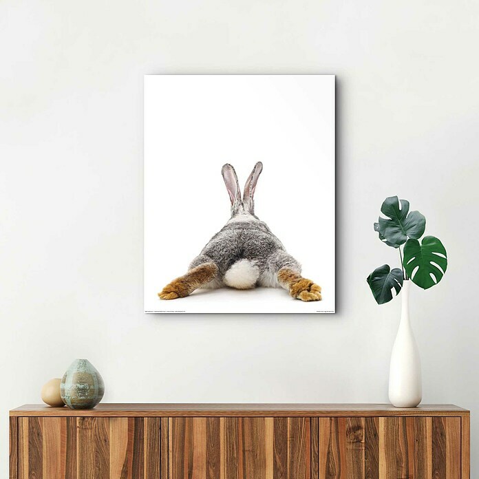 Reinders Decopanel (Bunnies Back, B x H: 40 x 50 cm) | BAUHAUS