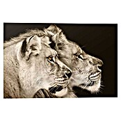 Decoratief paneel (Two Lions, b x h: 90 x 60 cm) | BAUHAUS